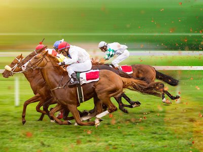 Statutory Inspection & Test: thoroughbred racing 