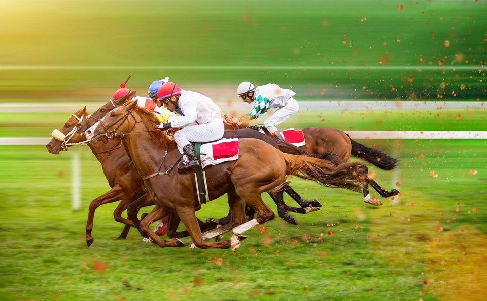 Four jockeys competing in a horse race on the track 