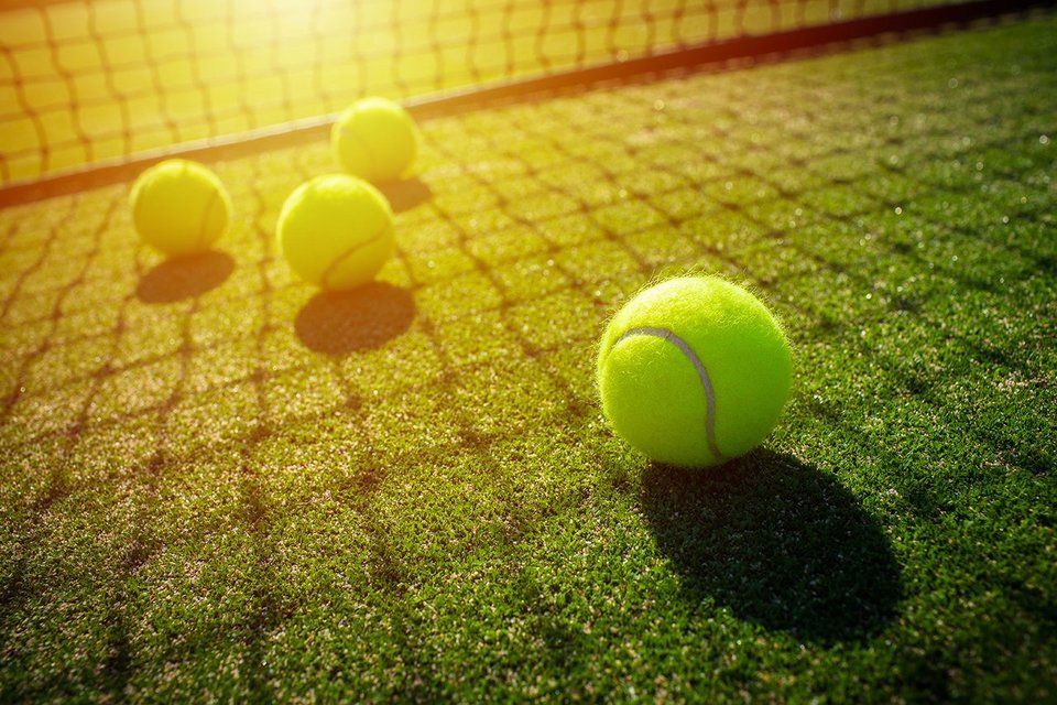 Four tennis balls on a green lawn behind the net. Sun is shining onto the lawn